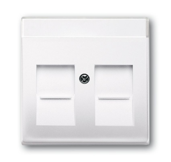 ABB Basic 55 Альпийский белый Плата центральная (накладка) для коммуникационных розеток с суппортами 1810, 1812, 1814, 1816, 1818, 1819 и 1820 с полем для надписи